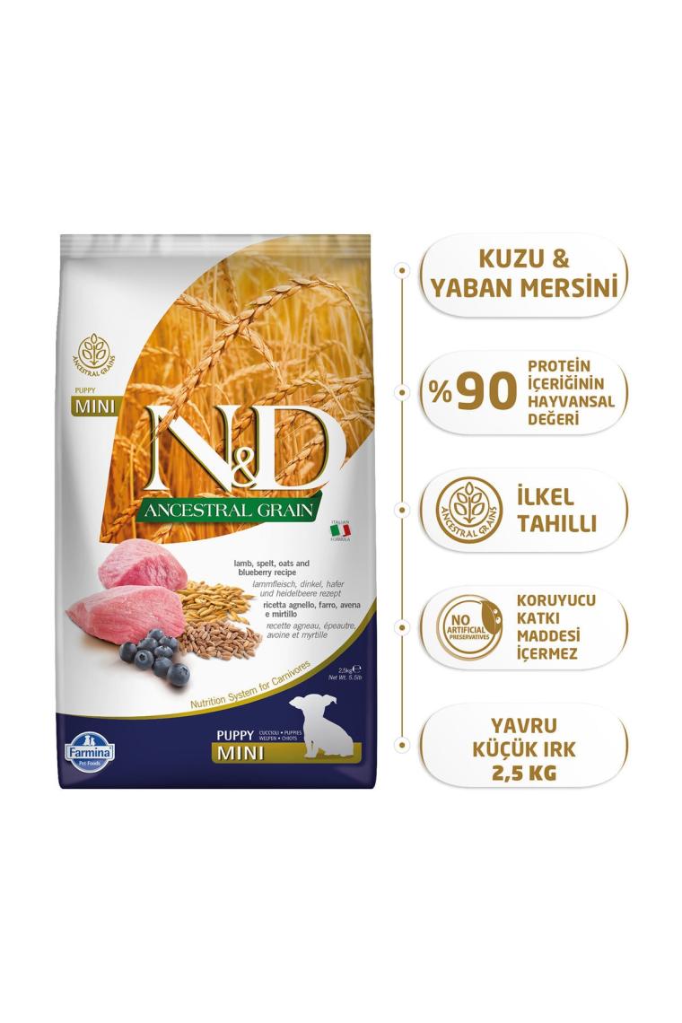 N&D Ancestral Grain Düşük Tahıllı Kuzu Etli ve Yaban Mersinli 2.5 kg Küçük Irk Yavru Köpek Maması