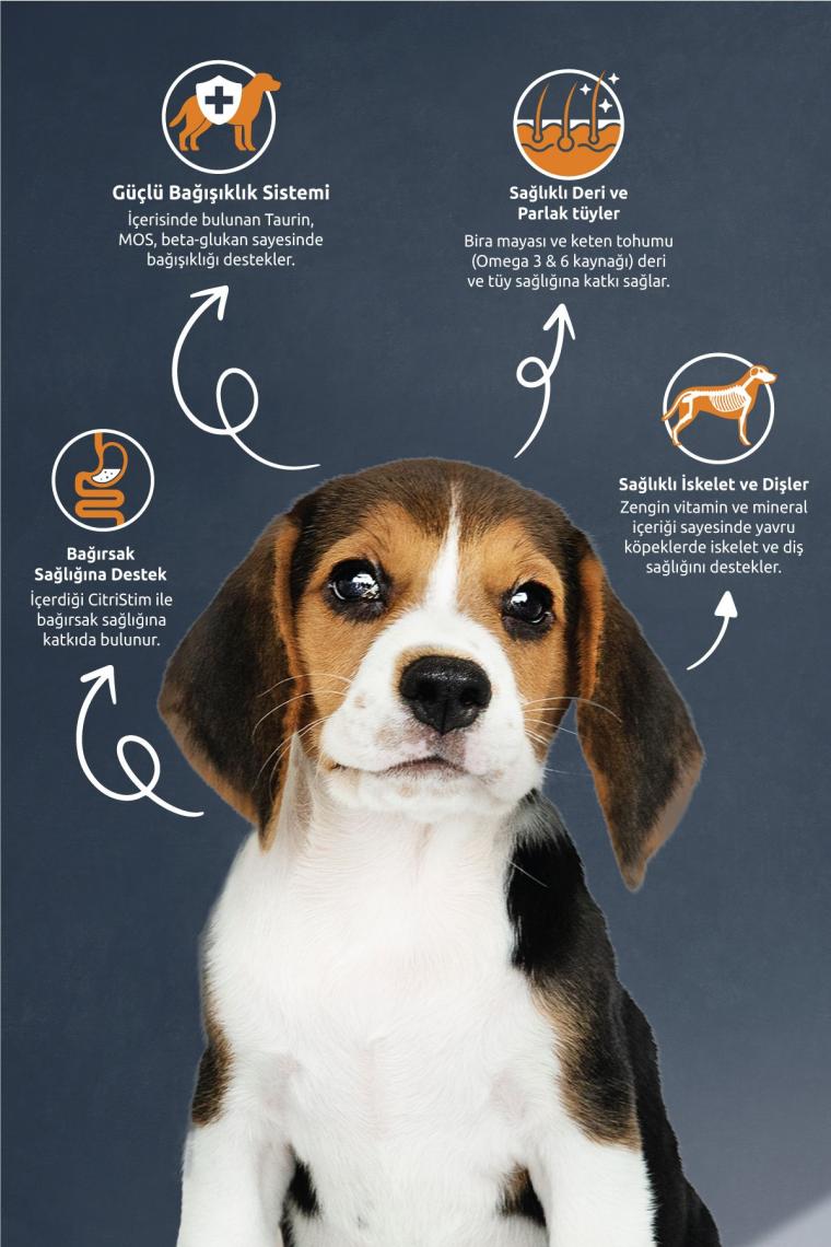Reflex Puppy Kuzu Etli Yavru Köpek Maması 3 kg