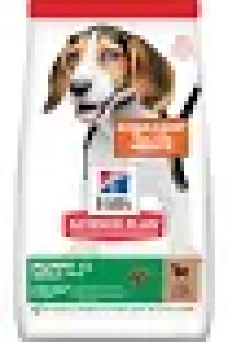 Hill's Kuzu Etli Pirinçli Yavru Kuru Köpek Maması 14 kg