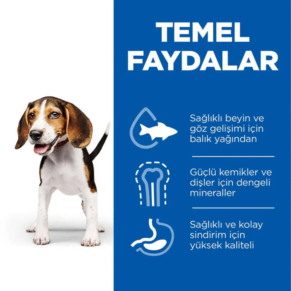Hill's Kuzu Etli Pirinçli Yavru Kuru Köpek Maması 14 kg