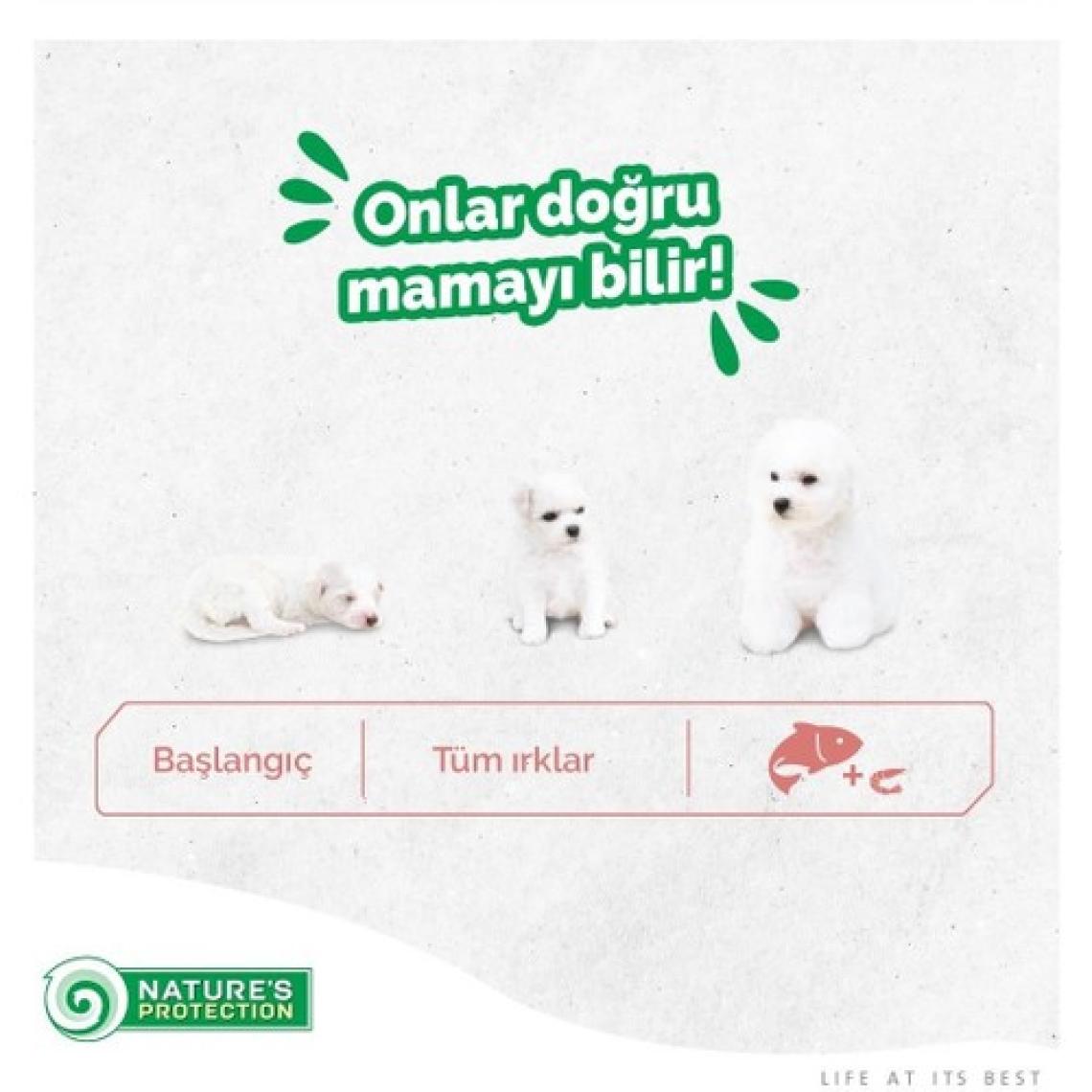 Nature's Protection Superior Care White Dogs Starter Somonlu 1.5 kg Yavru Köpek Maması