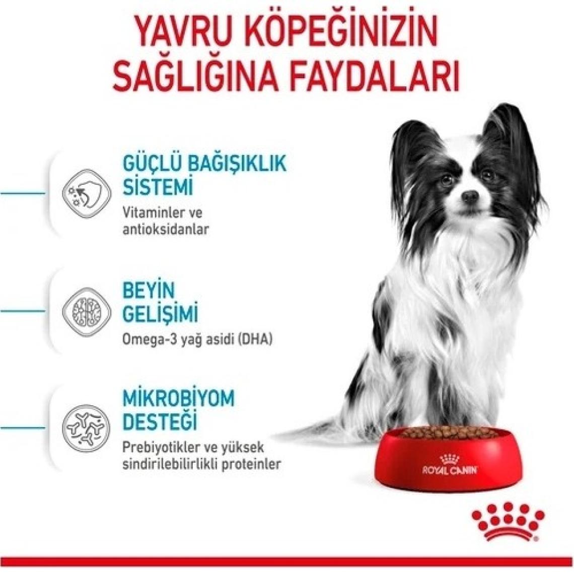 Royal Canin X-Small Puppy Küçük Irk Yavru Köpek Maması 1,5 Kg