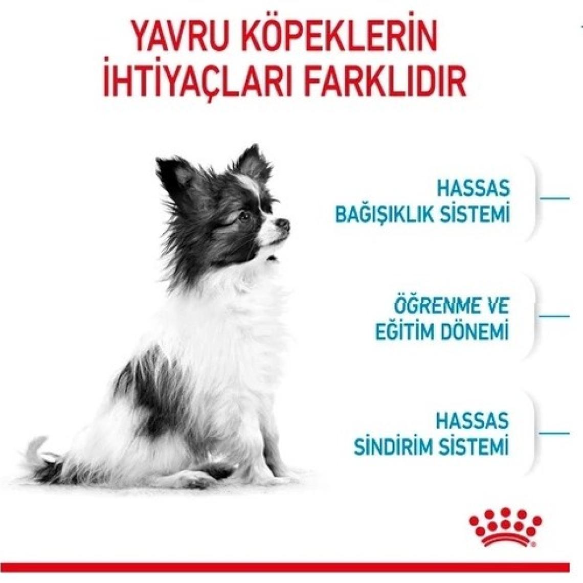 Royal Canin X-Small Puppy Küçük Irk Yavru Köpek Maması 1,5 Kg
