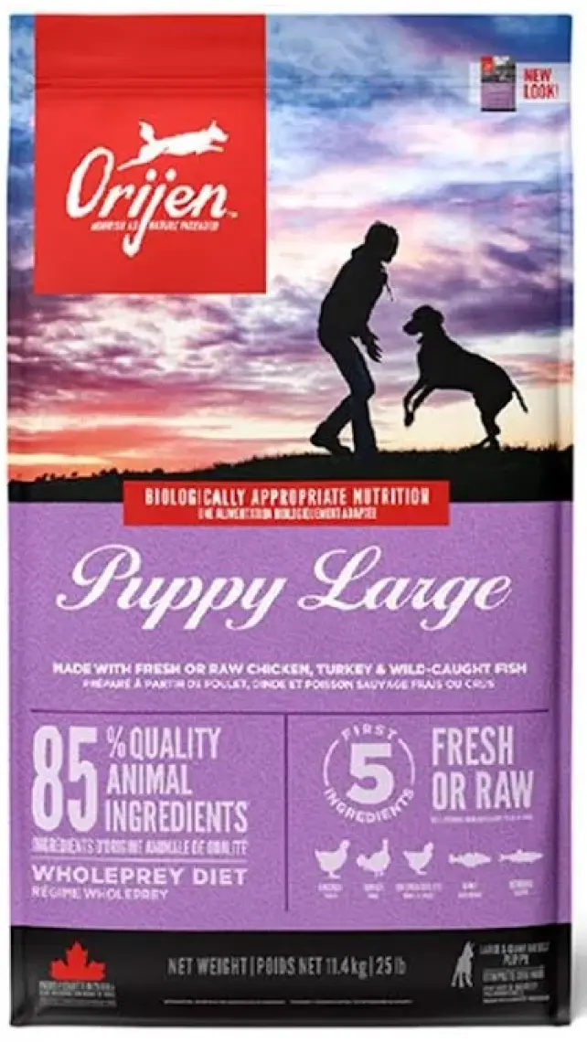 Orijen Puppy Large Breed Büyük Irk Yavru Köpek Maması 11,4 kg