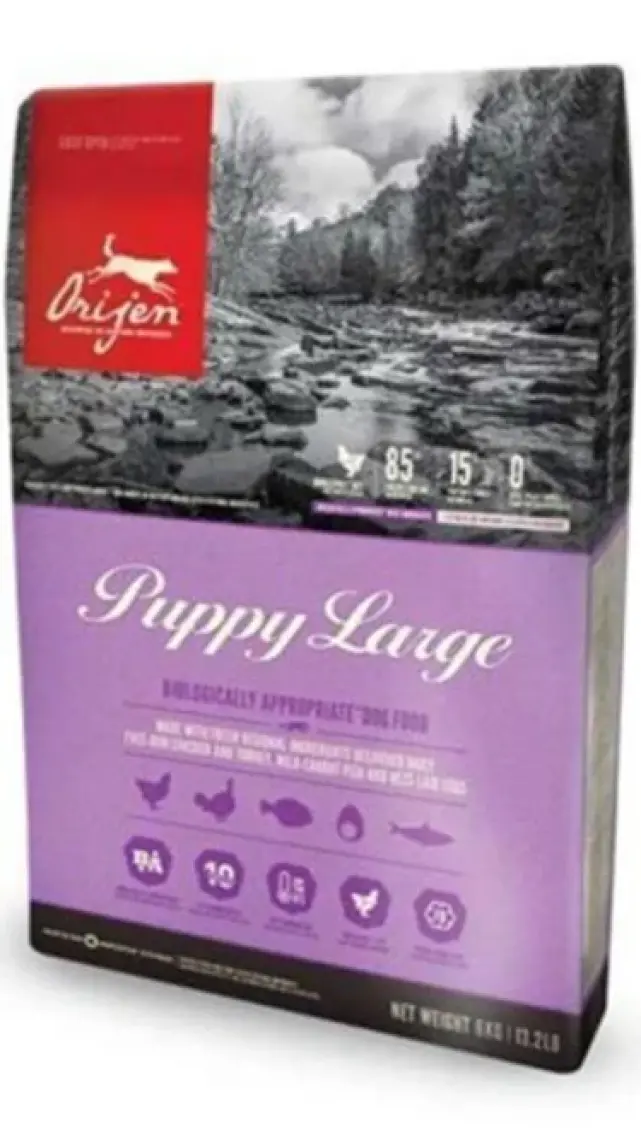 Orijen Puppy Large Breed Büyük Irk Yavru Köpek Maması 11,4 kg