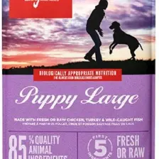 Orijen Puppy Large Breed Büyük Irk Yavru Köpek Maması 11,4 kg