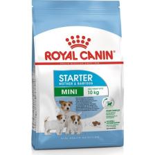 Royal Canin Mini Starter Mother & Babydog 3 kg Köpek Maması