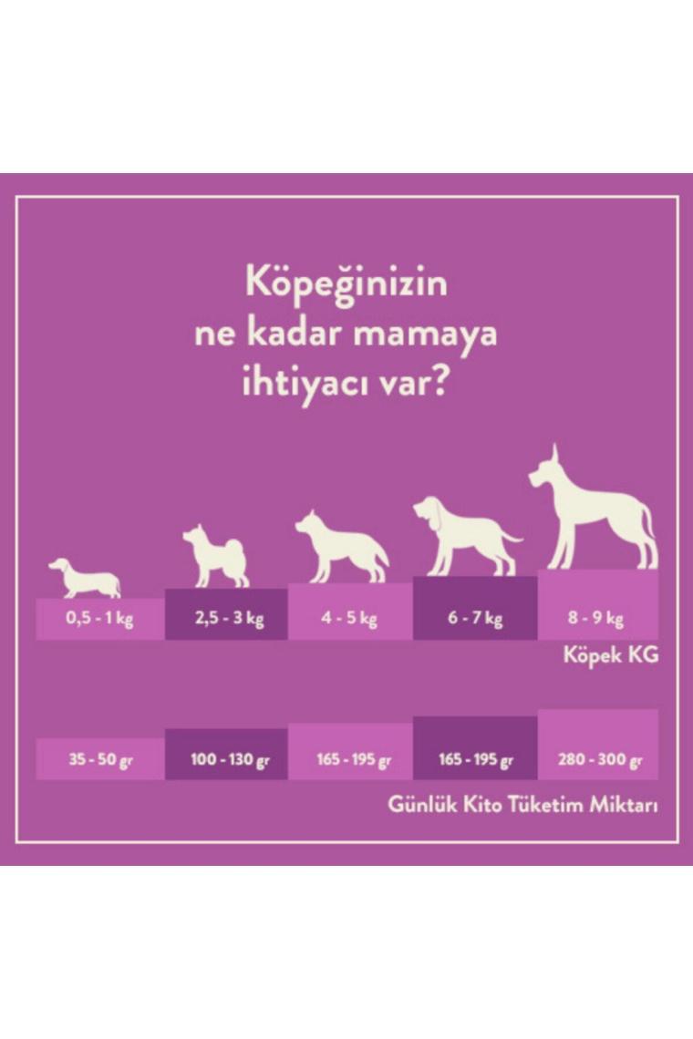 Doğal Besi Kuzu Etli Yavru Köpek Maması 2,5 Kg