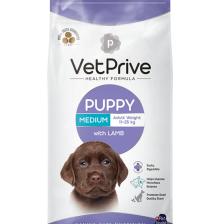 Vet Prive Orta ve İri Irk Yavru Köpek Maması Kuzu Etli 14 Kg