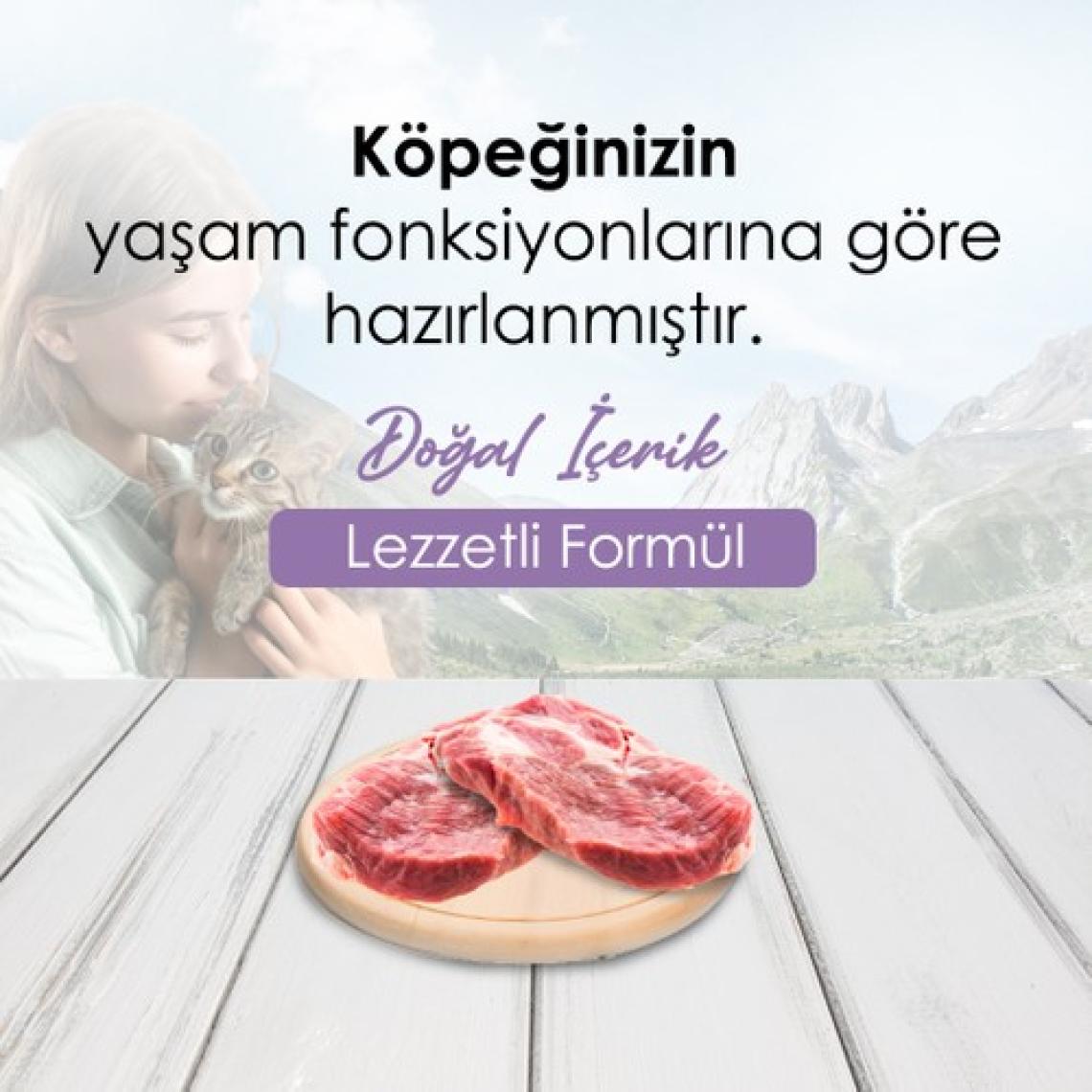 Bonnie Kuzulu ve Pirinçli Yavru Köpek Maması 2.5 kg