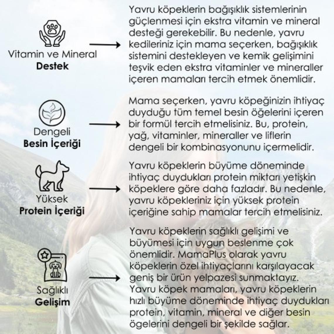 Bonnie Kuzulu ve Pirinçli Yavru Köpek Maması 2.5 kg