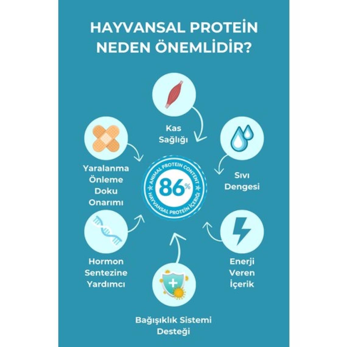 Petline Süper Premium Pretty - Somon Balıklı Yavru Köpek Maması 12KG