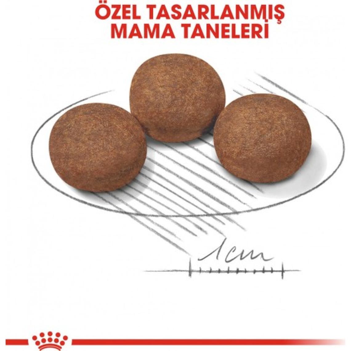 Royal Canin Medium Puppy Orta Irk Yavru Köpek Maması 15 kg