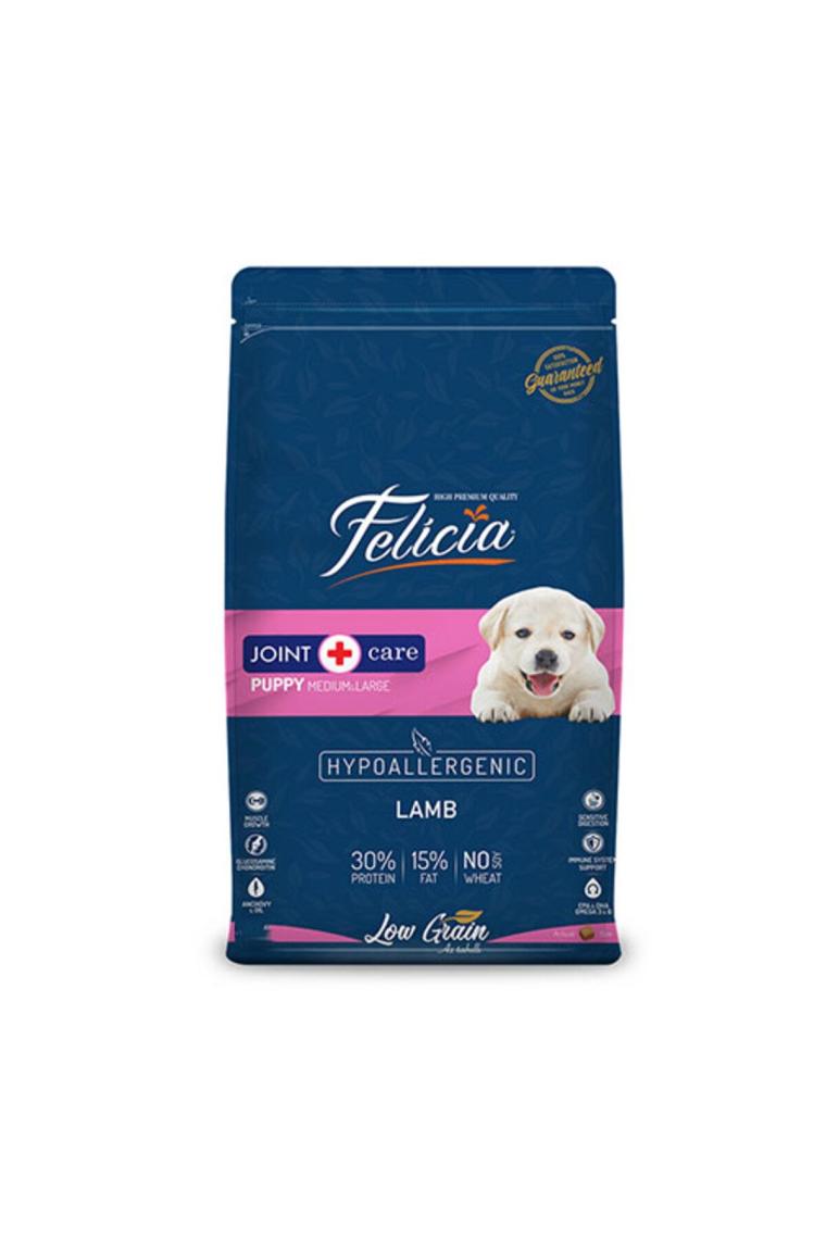 Felicia Medium & Large Kuzu Etli 15 kg Orta ve Büyük Irk Yavru Köpek Maması