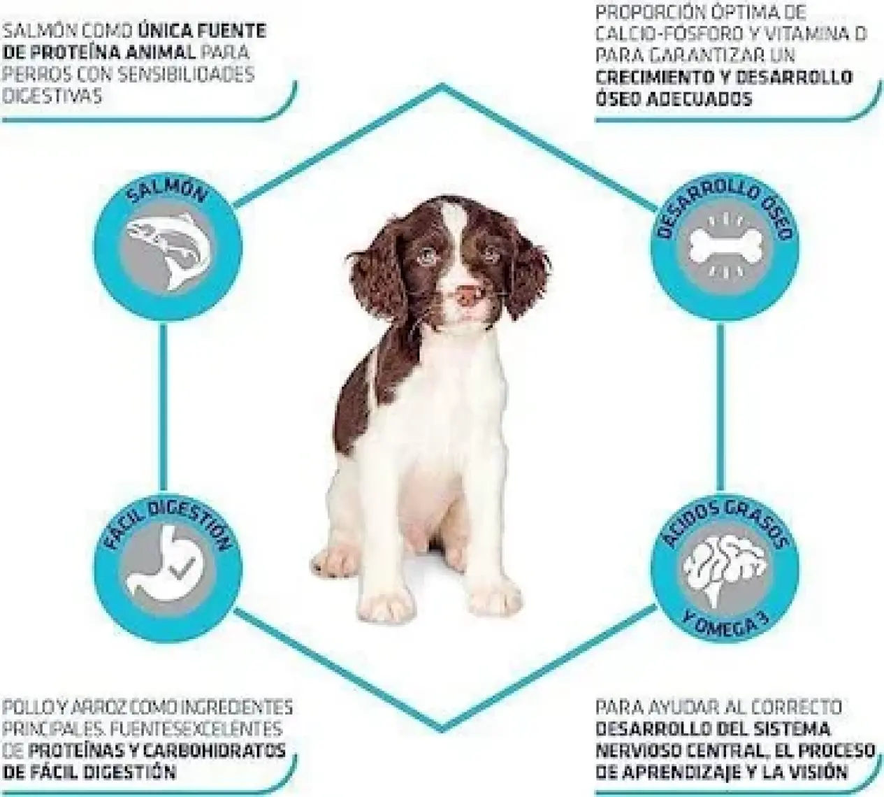 Advance Somon ve Pirinçli Hassas Yavru Köpek Maması 12 Kg