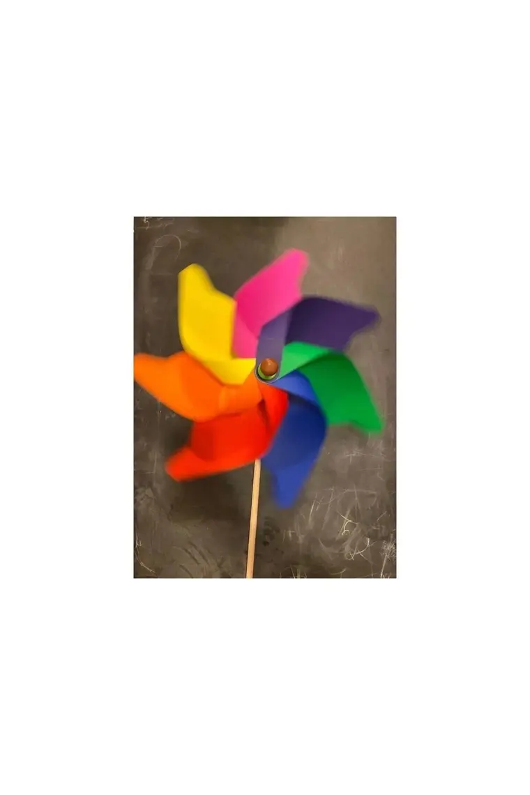Kardeşler Oyuncak Rüzgar Gülü Çap: 65 cm