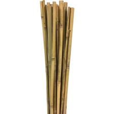 Gardener 163702 Bambu Destek Çubuğu 10'lu 6-8 mm X 60 cm