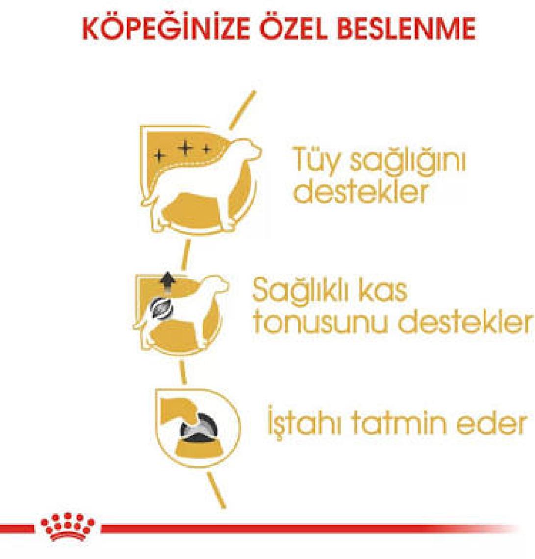 Royal Canin Poodle Yetişkin Köpek Konservesi 85 gr