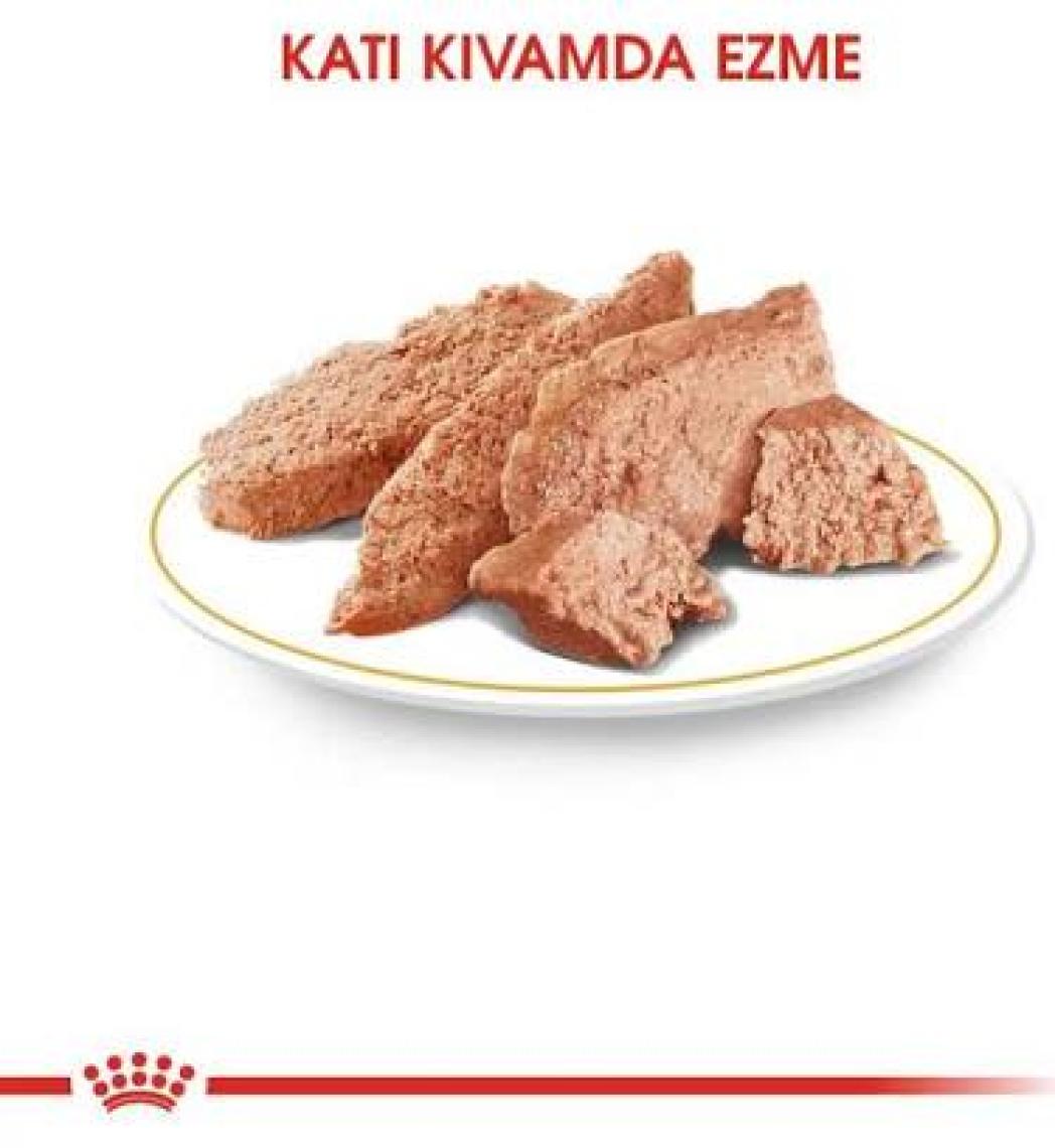Royal Canin Poodle Yetişkin Köpek Konservesi 85 gr