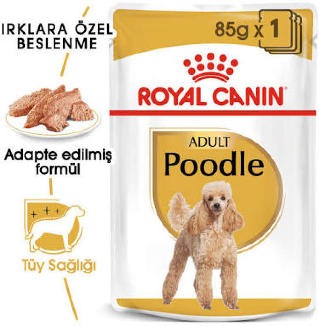 Royal Canin Poodle Yetişkin Köpek Konservesi 85 gr