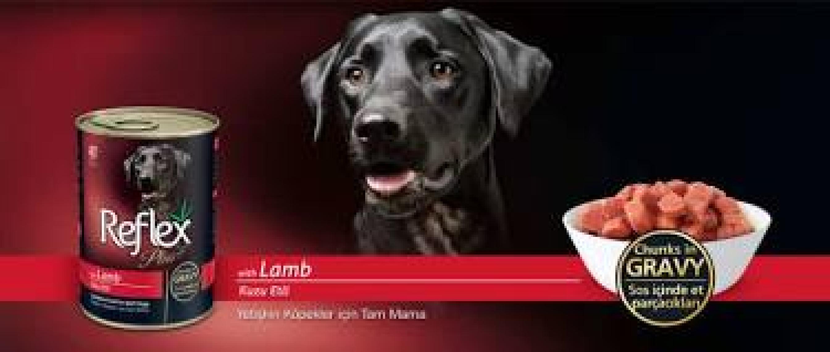 Reflex Plus Kuzulu Köpek Konserve Sos İçinde Et Parçacıklı 400 Gr