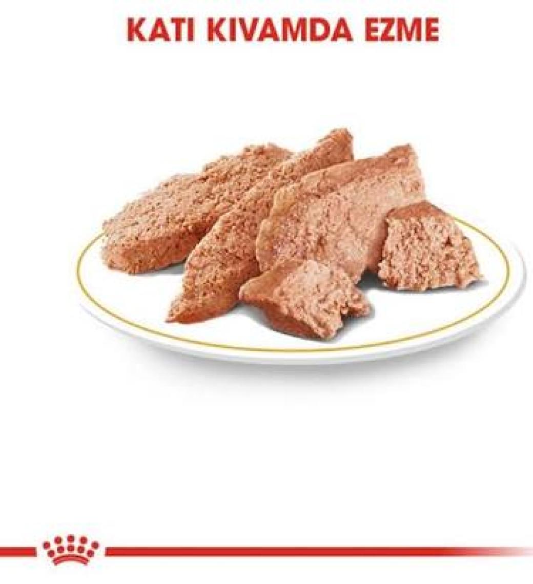 Royal Canin Adult Yorkshire Terrier Konserve Köpek Maması 12 x 85 Gr ( 204001020 )
