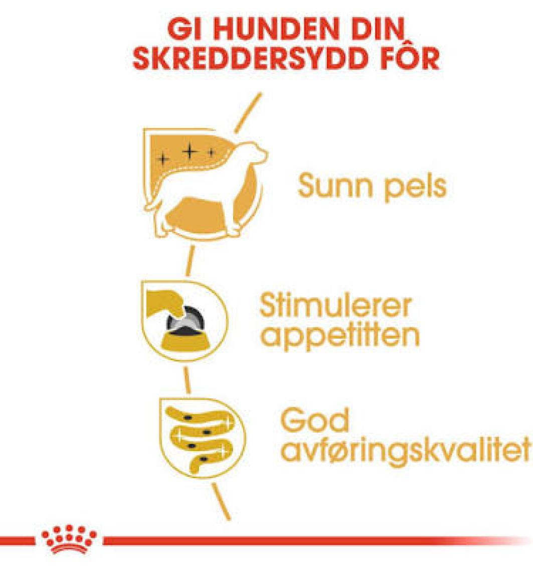 Royal Canin Adult Yorkshire Terrier Konserve Köpek Maması 12 x 85 Gr ( 204001020 )