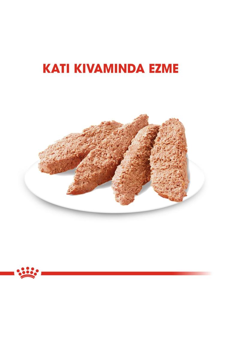 Royal Canin Dermacomfort Köpek Konservesi 85 gr 12 Ad