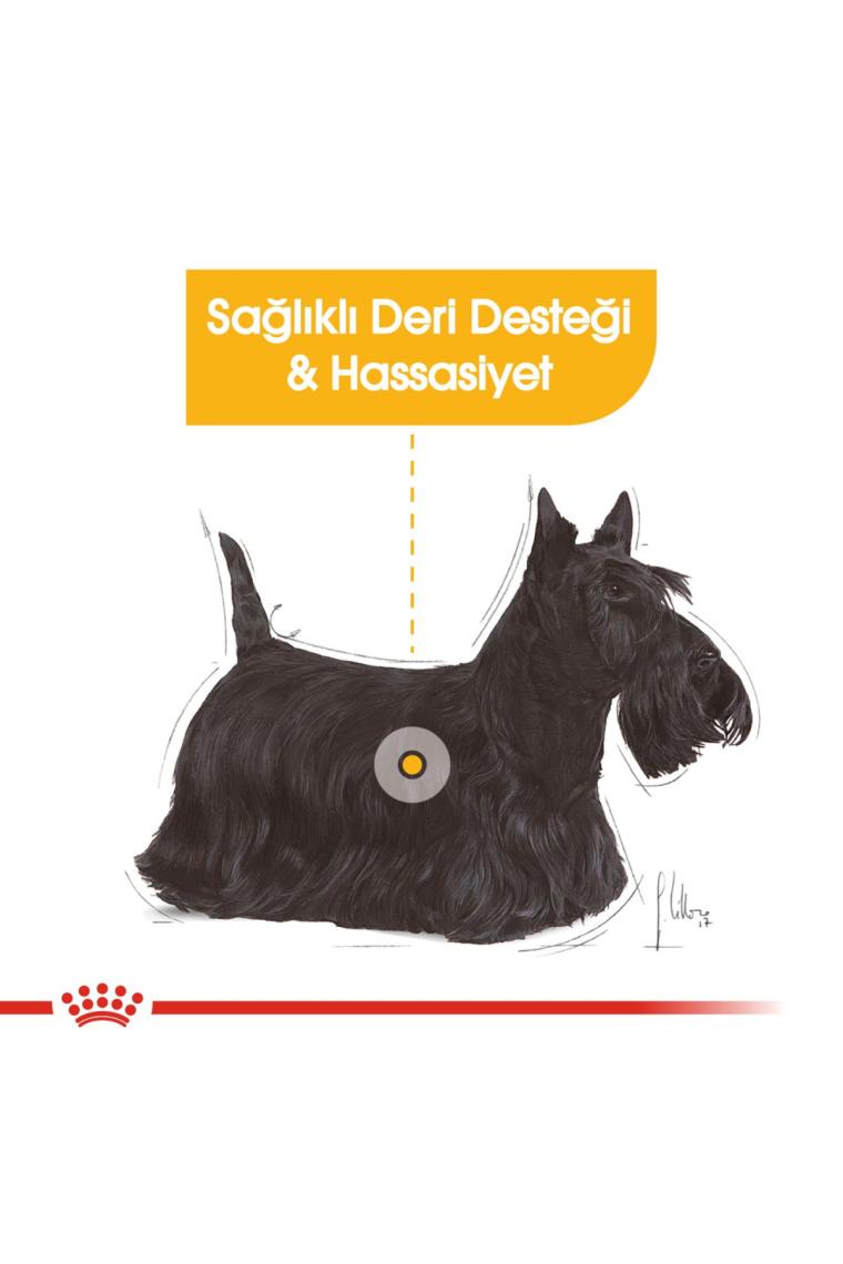 Royal Canin Dermacomfort Köpek Konservesi 85 gr 12 Ad