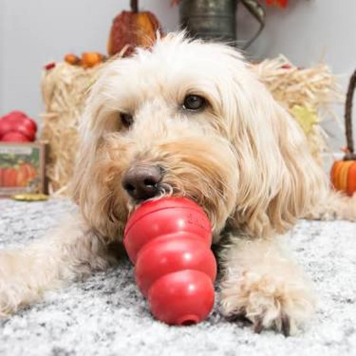 Kong Classic Köpek Oyuncağı Small