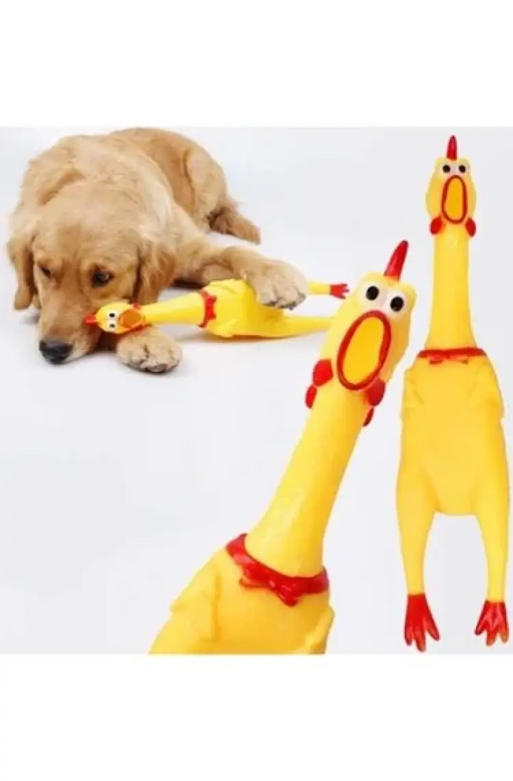 Carino Öten Tavuk Köpek Oyuncağı Large 36 cm