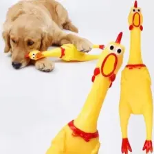 Carino Öten Tavuk Köpek Oyuncağı Large 36 cm