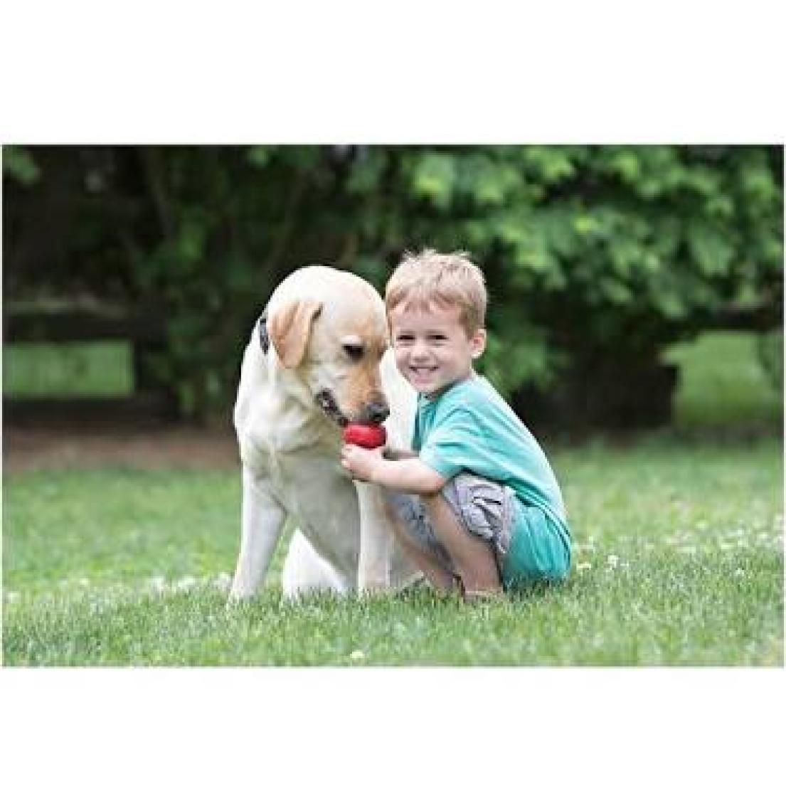 KONG Classic Köpekler için Çok Amaçlı Isırma Oyuncağı XXL