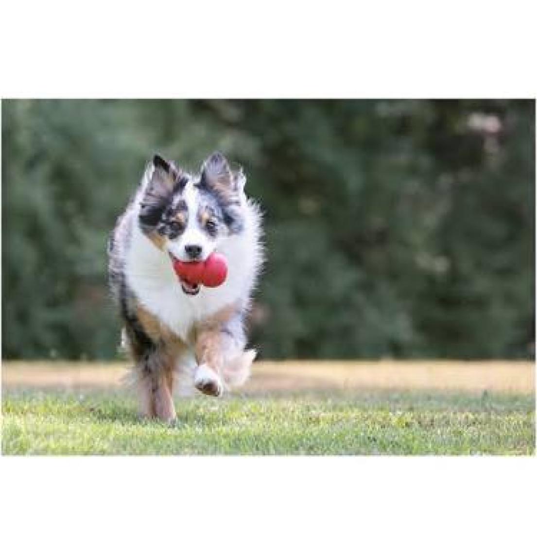 KONG Classic Köpekler için Çok Amaçlı Isırma Oyuncağı XXL