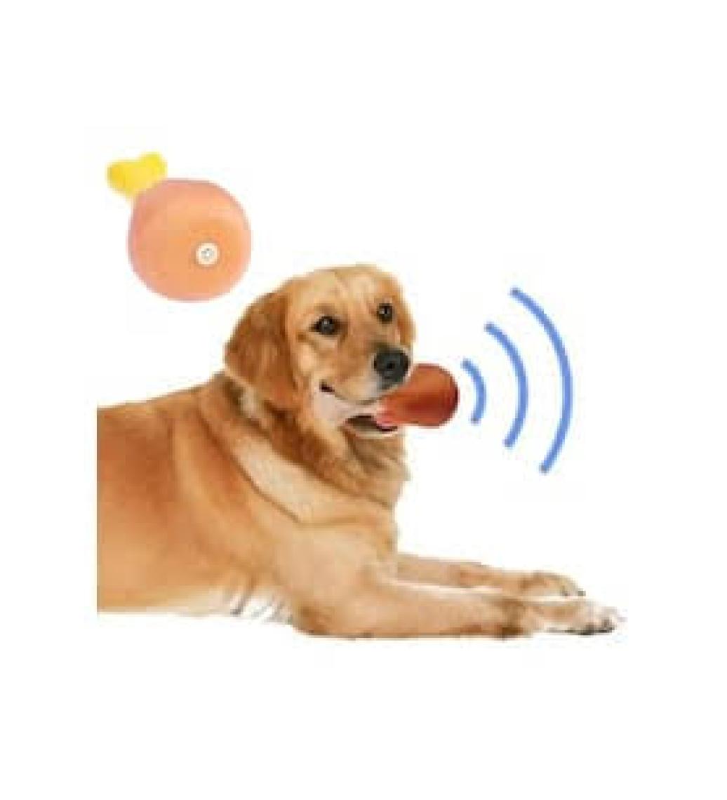 Ttt Köpekler Için Sesli Oyuncak Tavuk Butu