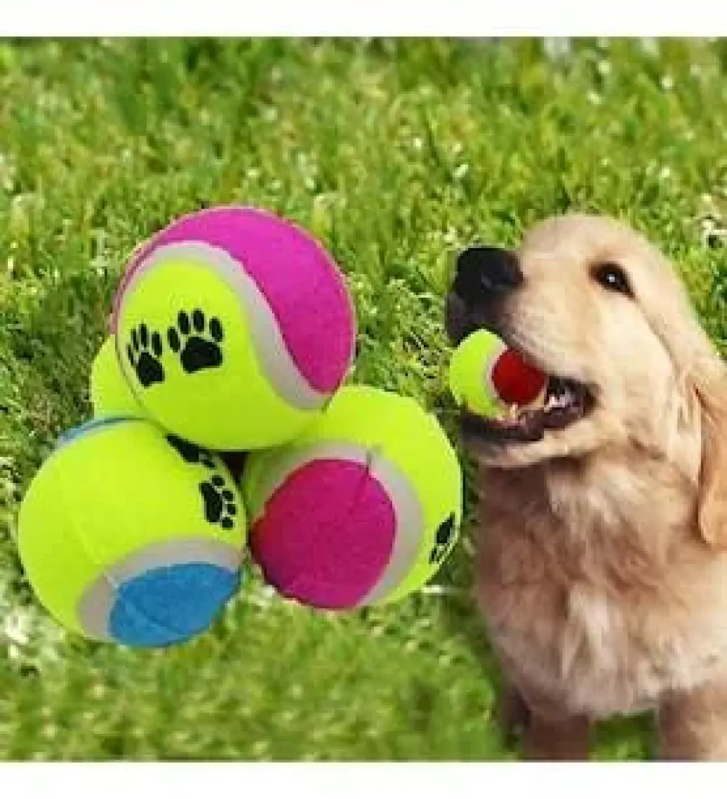 Evcil Hayvan Kedi Köpek Eğitici Oyun Topu