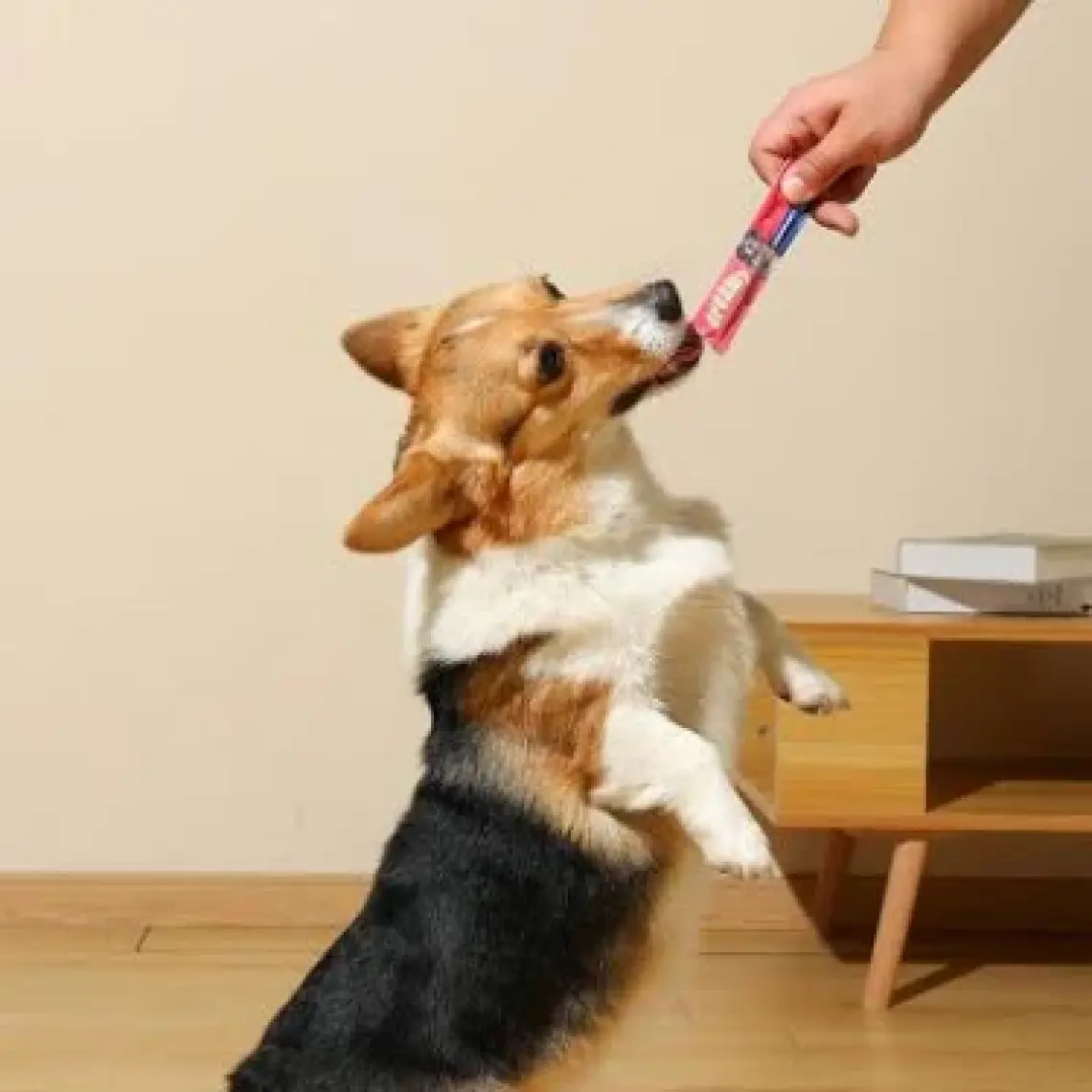 M-Pets Somonlu Köpek Ödül Kreması 4X15 gr