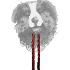 Sirius Pet Food Collagen Braided 30 cm 2pcs - Kolajen Örgü Çubuk 30 cm 2 Adet