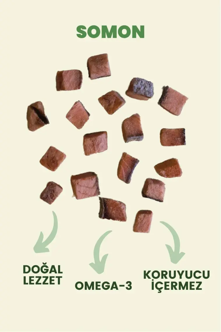 Kito Freeze Dried Somon Ödül Maması Köpekler için (30 gr)