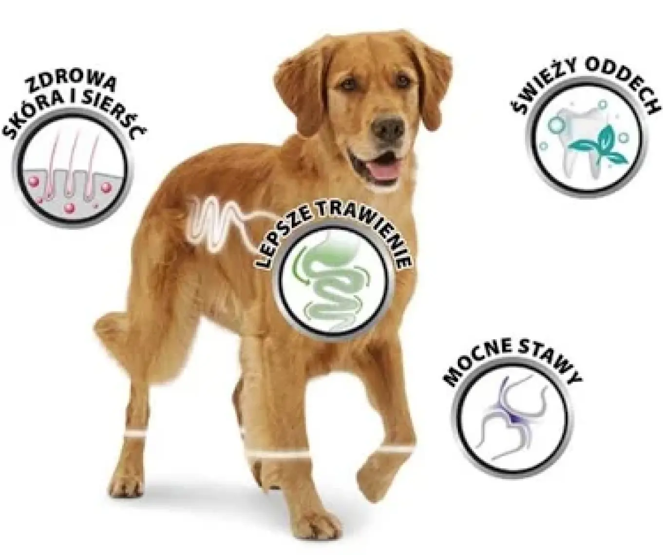 Poch Fillets Pro Active Glikozamin Katkılı Köpek Ödülü 80 gr