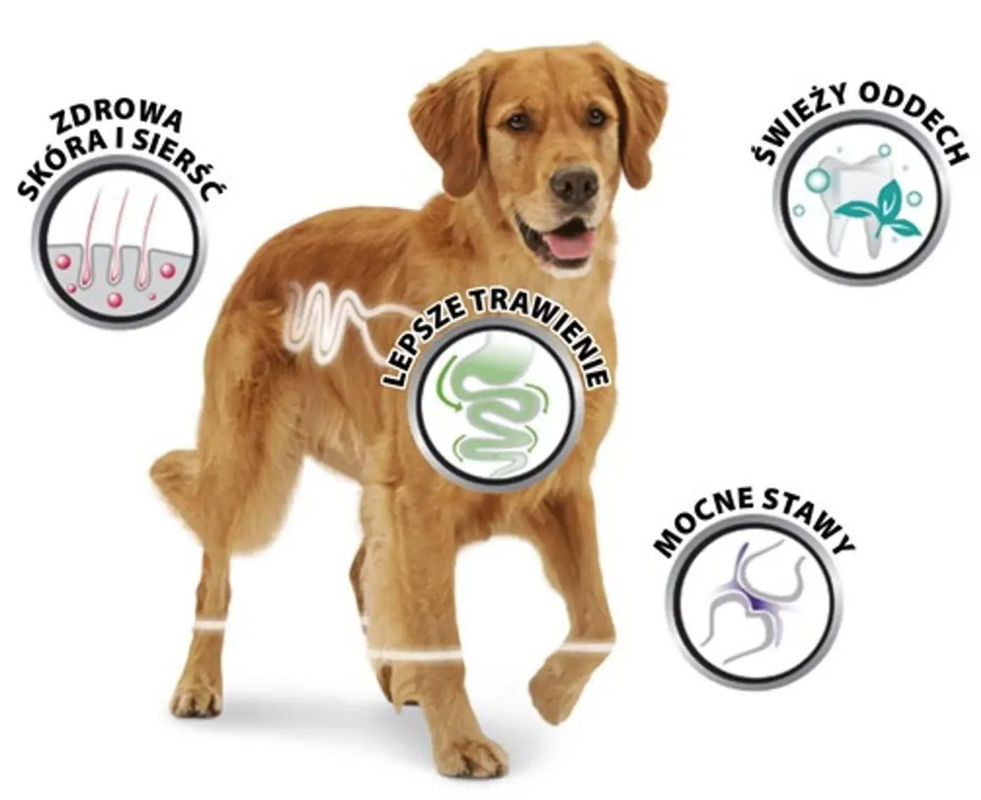 8in1 Poch Fillets Pro Dental Nane Aromalı Köpek Ödülü 80gr