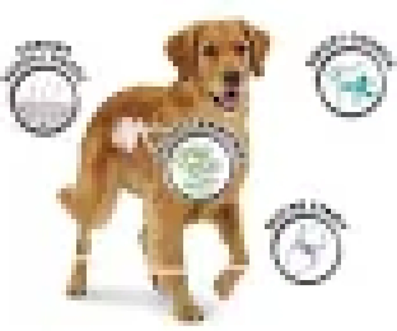 8in1 Poch Fillets Pro Dental Nane Aromalı Köpek Ödülü 80gr
