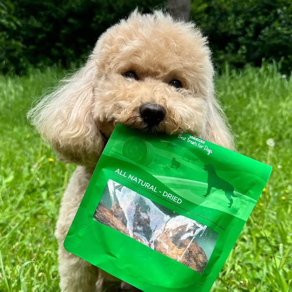 Kito Tavuk Boyun Çiğnemelik Köpek Ödül Maması %100 Doğal, Glutensiz, Organik 100 gr