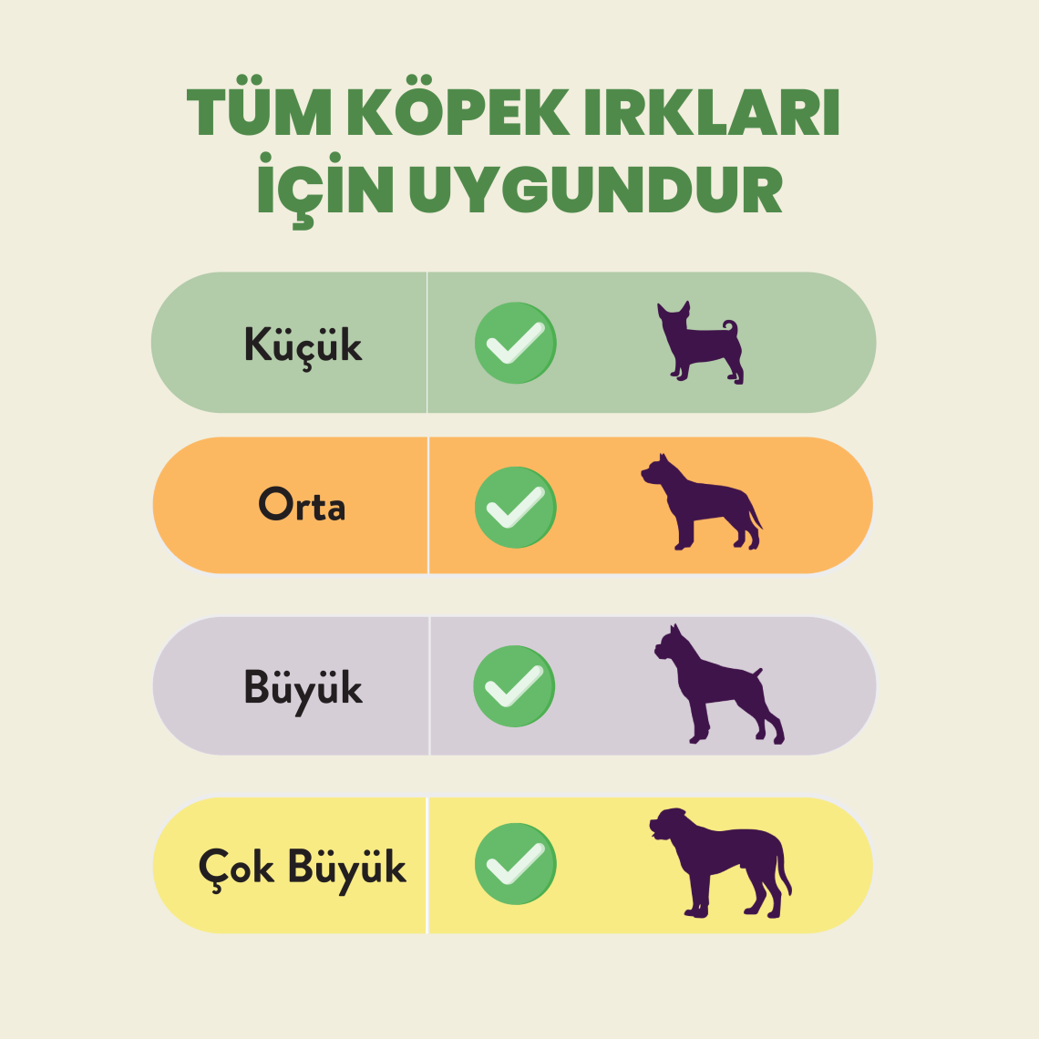 Kito Tavuk Boyun Çiğnemelik Köpek Ödül Maması %100 Doğal, Glutensiz, Organik 100 gr