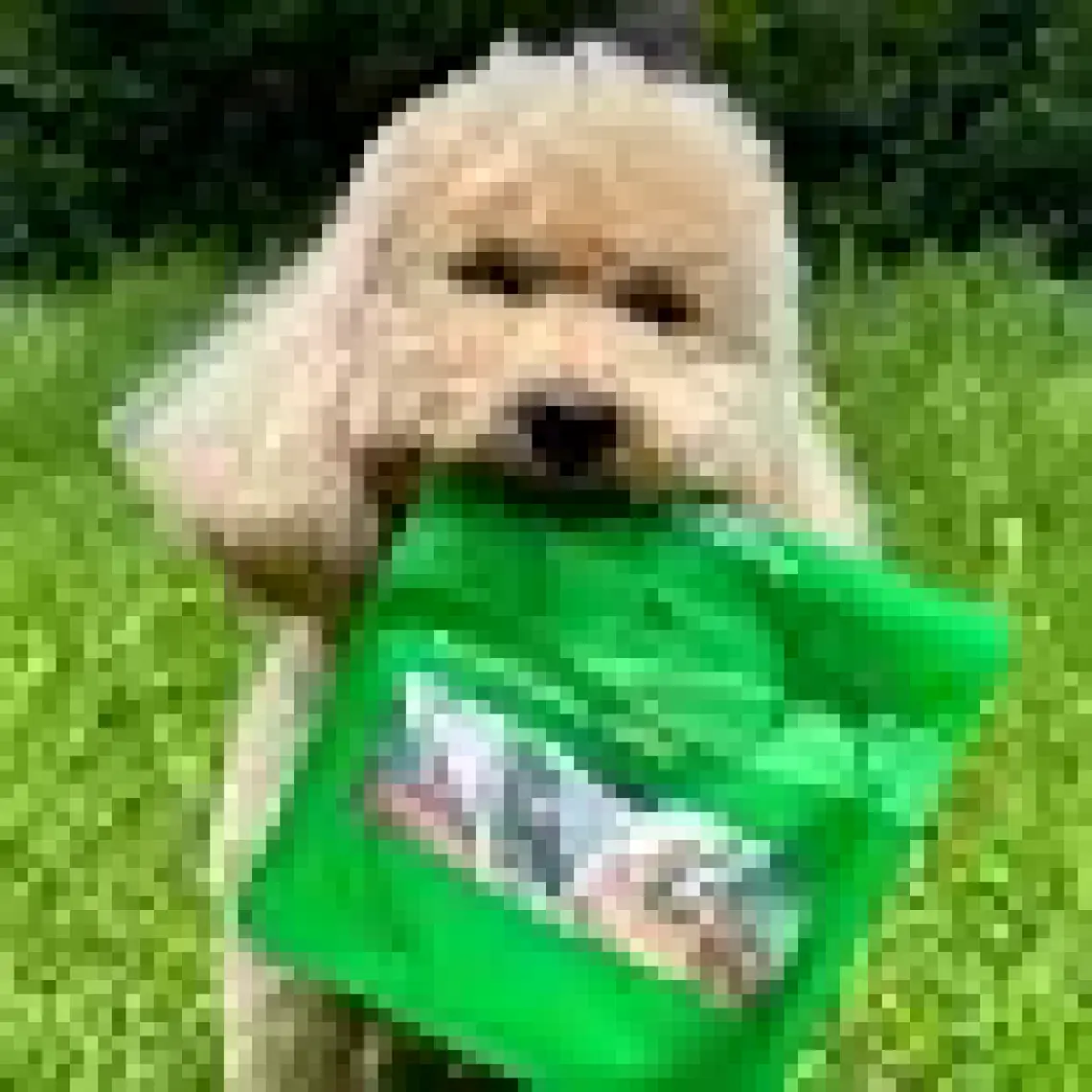 Kito Tavuk Boyun Çiğnemelik Köpek Ödül Maması %100 Doğal, Glutensiz, Organik 100 gr