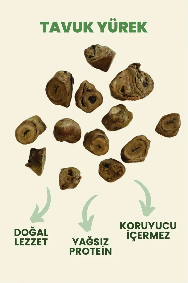 Kito Freeze Dried Tavuk Yürek Köpek Ödül Maması %100 Doğal, Glutensiz 30 gr(Dog Treat)