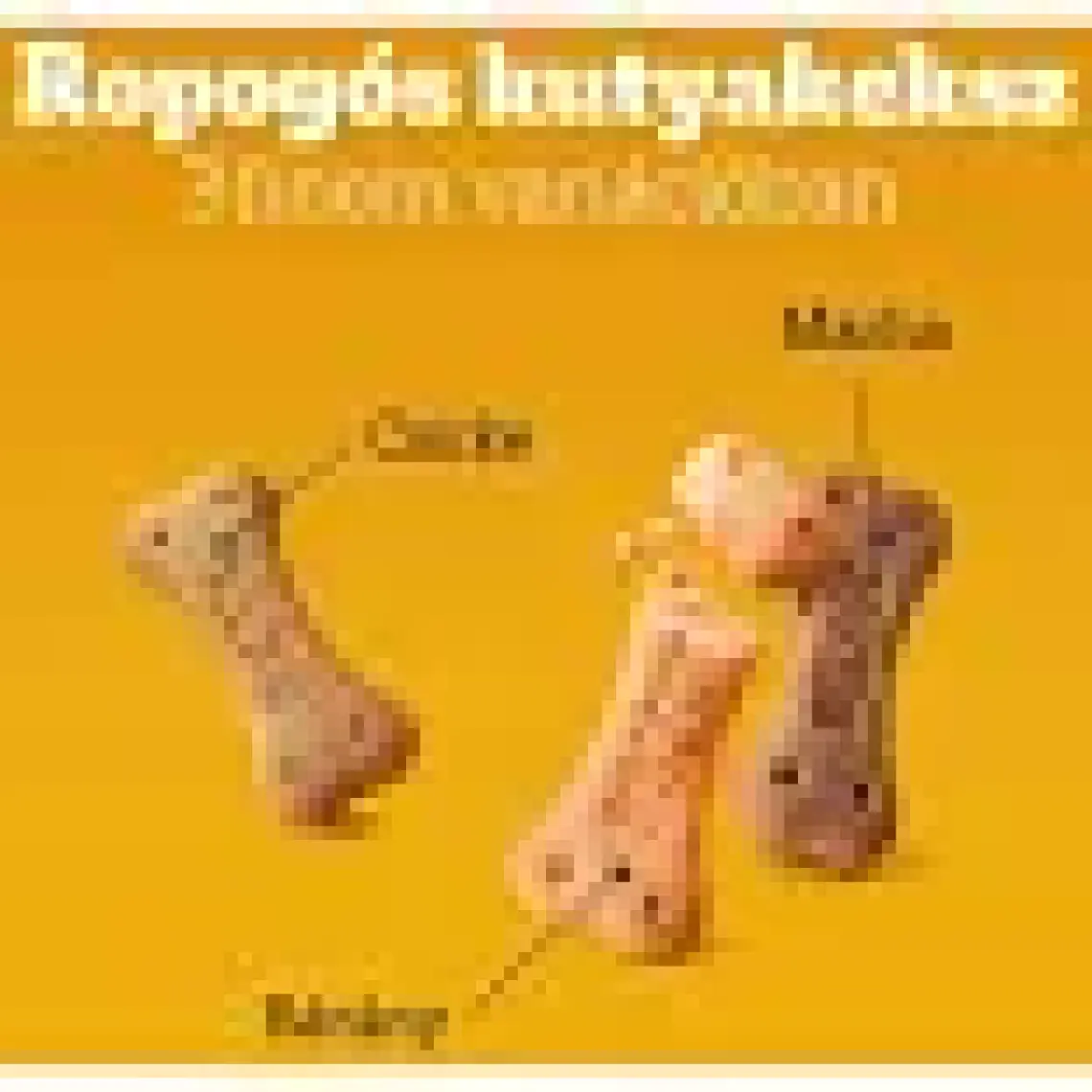 Pedigree Biscrok Köpek Ödül Bisküvisi 500 Gr.