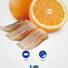 Nd Balıklı Portakallı Tahılsız Küçük Irk Yetişkin Köpek Maması 2.5 Kg