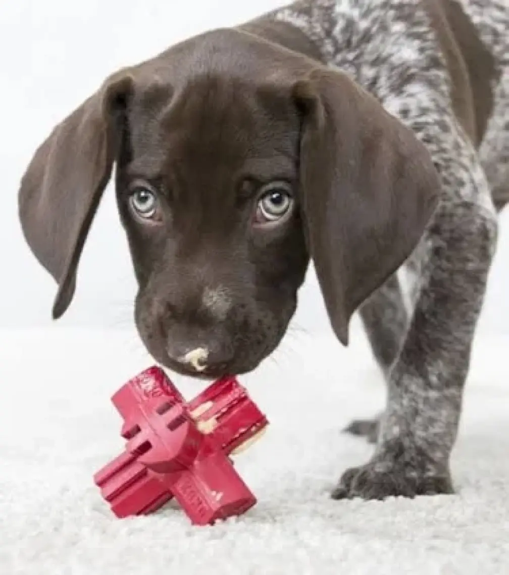 Kong Köpek Diş Bakım Oyuncağı M 9cm
