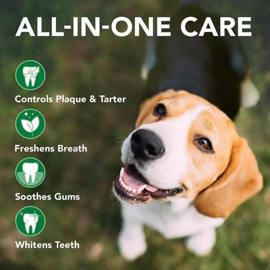 Vet's Best Köpekler İçin 3 Başlı Diş Fırçası